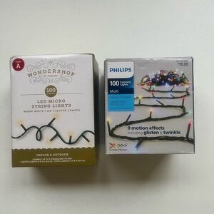 Wondershop Warm White LED Micro String Lights